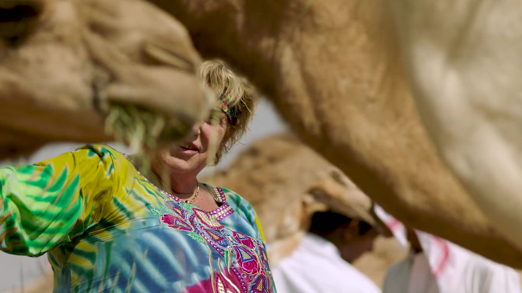 CNN Great Big Story: Finding a Second Life on a Camel Farm